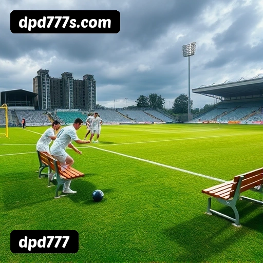 Níveis do programa VIP da dpd777